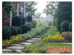 ����������� ��������������