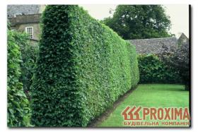 ����� ��������. ����� ��� ����� ��������