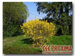 ������� �����������