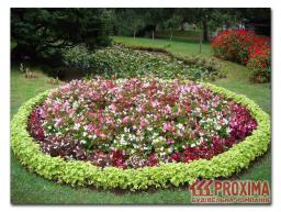 �������, �������, ����������, ��������, ������