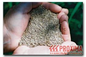 �����. ���� �������. ������������ ������������