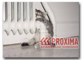 ��������� ����